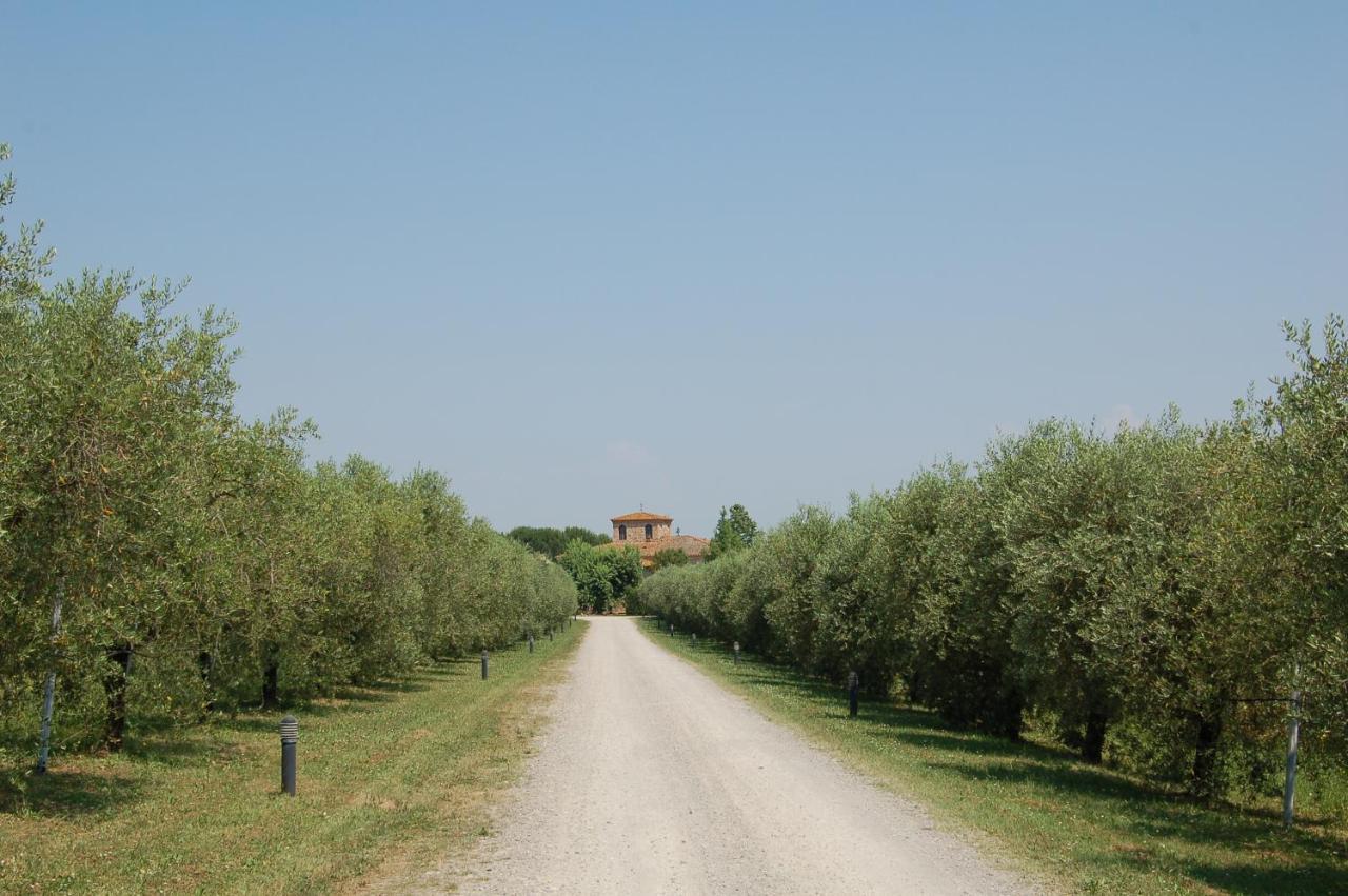 Agriturismo Il Selvino Terricciola المظهر الخارجي الصورة