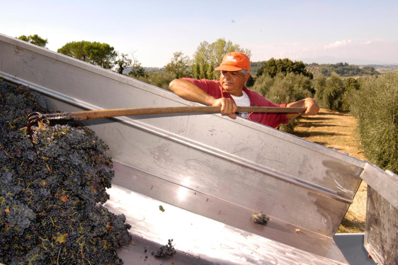 Agriturismo Il Selvino Terricciola المظهر الخارجي الصورة