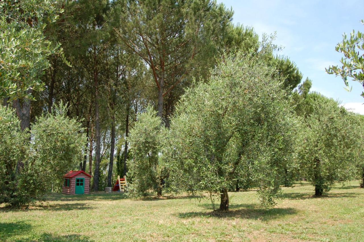 Agriturismo Il Selvino Terricciola المظهر الخارجي الصورة